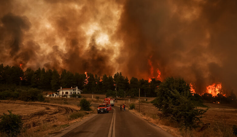 Πυρκαγιές: Το 2021 κάηκαν τόσες εκτάσεις στην Ελλάδα όσες κατά την οκταετία 2013–2020