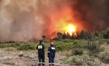 Εξαπλώνεται η φωτιά στην Αττική: Οι φλόγες έφτασαν στις παρυφές της Σταμάτας