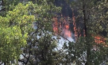 Φωτιά στα Γρεβενά: Για τέταρτη μέρα συνεχίζεται η μάχη με τις φλόγες