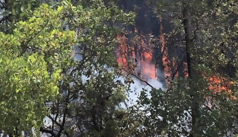 Φωτιά στα Γρεβενά: Για τέταρτη μέρα συνεχίζεται η μάχη με τις φλόγες