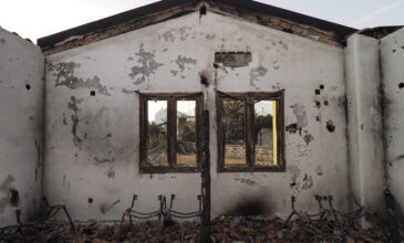 Φωτιές – Αποζημιώσεις: Ανοίγει την Τετάρτη η πλατφόρμα arogi.gov.gr