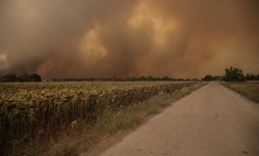 Φωτιά στην Εύβοια: Πληθαίνουν τα μέτωπα – Νέες εκκενώσεις χωριών