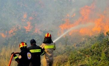 Υπό μερικό έλεγχο τέθηκε η πυρκαγιά σε δασική έκταση στο Αιάντειο Σαλαμίνας