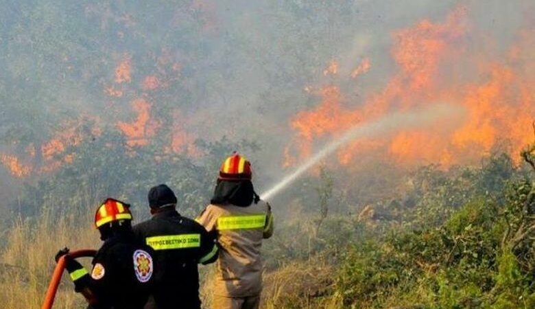 Υπό μερικό έλεγχο τέθηκε η πυρκαγιά σε δασική έκταση στο Αιάντειο Σαλαμίνας
