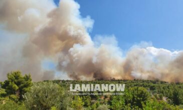 Φωτιά στην Φθιώτιδα: Οι φλόγες απειλούν μοναστήρι στη Μαλεσίνα