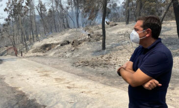 Τσίπρας για πυρκαγιές: Πάνω από 1.200.000 στρέμματα καμένα – Αυτή είναι η ασφάλεια που υποσχέθηκε ο Μητσοτάκης