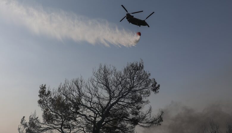 Φωτιές: Ενισχύθηκαν τα εναέρια μέσα που επιχειρούν σε Ηλεία, Γορτυνία και Μάνη