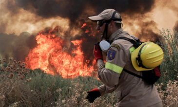Φωτιά στην Ηλεία: Μεγάλες αναζωπυρώσεις σε Νεμούτα και Λαμπέτι