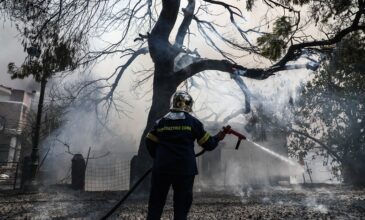 Οριοθετήθηκε η πυρκαγιά σε δασική έκταση στο Αλιβέρι Ευβοίας
