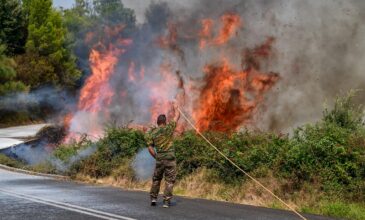 Πολύ υψηλός κίνδυνος για πυρκαγιά και αύριο Δευτέρα -Ποιες περιοχές είναι στην κατηγορία 4