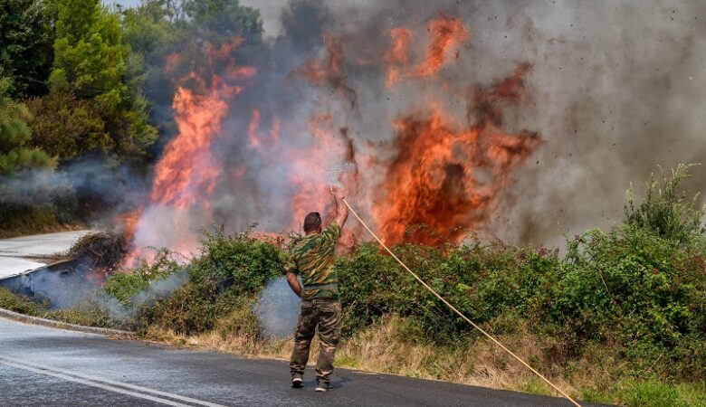 Φωτιά στην Ηλεία – Δεν απειλούνται κατοικημένες περιοχές