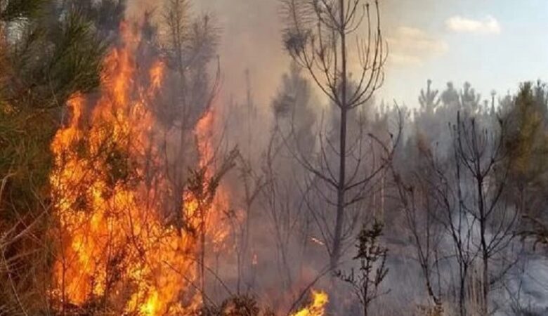 Δύο νεκροί από τις πυρκαγιές στη νότια Ιταλία – Καίγονται ελληνόφωνα χωριά