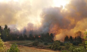 Φωτιά στην Εύβοια: Εφιαλτικό σκηνικό σε όλα τα μέτωπα