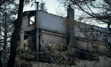 Φωτιές: Προσωρινά «κόκκινο» 1 στα 3 σπίτια – Τι δείχνουν τα πρώτα στοιχεία από τις αυτοψίες