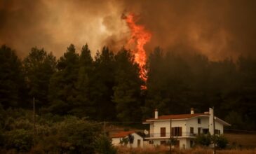 Πύρινος εφιάλτης στην Εύβοια: «Το πυροθερμικό φορτίο είναι τόσο μεγάλο που είναι σαν να ρίχνεις νερό σε λάβα από ηφαίστειο»