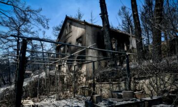 Φωτιές: Ξεκίνησε η καταγραφή ζημιών σε κτίρια – Γραμμή βοήθειας στο 1135