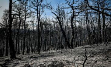 Φωτιές: Η αίσθηση του καμένου θα παραμείνει για καιρό στην ατμόσφαιρα