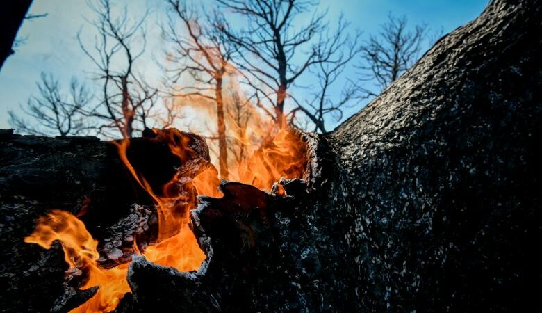 Πολύ υψηλός κίνδυνος πυρκαγιάς και αύριο σε Εύβοια, Αττική, Ηλεία και άλλες 5 περιφέρειες
