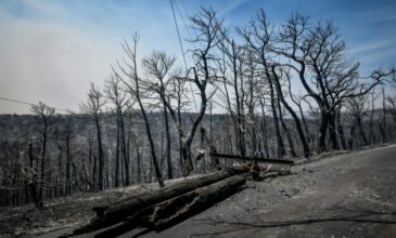 Τι οδήγησε στη μεγάλη πυρκαγιά της Πάρνηθας – Η επόμενη μέρα