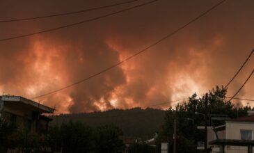 Κρίσιμες ώρες για την Εύβοια: Μάχη της Πυροσβεστικής σε δύο μέτωπα – Αγώνας για να σωθούν οι Γούβες