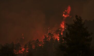 Πύρινη κόλαση στην Εύβοια: Σε Γαλατσώνα, Ελληνικά και Αγριοβότανο οι φλόγες – Νέες εκκενώσεις οικισμών