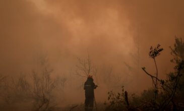 Φωτιά στην Εύβοια:  Οι τεράστιες φλόγες κυκλώνουν τα χωριά  – Εκκενώνεται η Αβγαριά