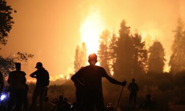 Φωτιά στην Εύβοια: Ξανά ολονύκτια μάχη με τις φλόγες – Απειλούνται οι Καματριάδες – Νέες εικόνες τρόμου