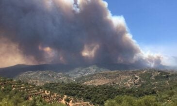 Φωτιά στη Λακωνία: Σε εξέλιξη η φωτιά στον δήμο Ανατολικής Μάνης