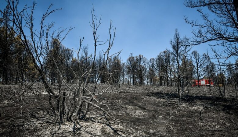 Σήμα κινδύνου για σημαντικές δευτερογενείς καταστροφές στα καμένα