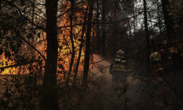 Καταστροφικές πυρκαγιές: Ξεκίνησε η εισαγγελική έρευνα – Στρέφεται προς κάθε κατεύθυνση