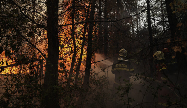 Καταστροφικές πυρκαγιές: Ξεκίνησε η εισαγγελική έρευνα – Στρέφεται προς κάθε κατεύθυνση