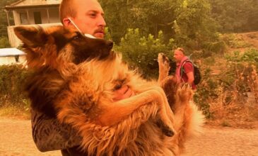 Φωτιά στην Εύβοια: Eθελοντής σώζει λυκόσκυλο που ο ιδιοκτήτης του είχε αφήσει δεμένο να καεί