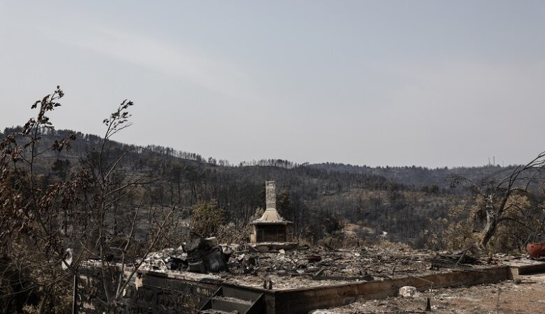 Φωτιά στην Εύβοια: Στάχτη 465.820 στρέμματα – Οι χρήσεις γης που κάηκαν