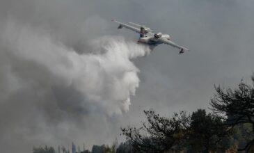 Πυρκαγιά σε εξέλιξη σε δασική έκταση στην Χαλκιδική
