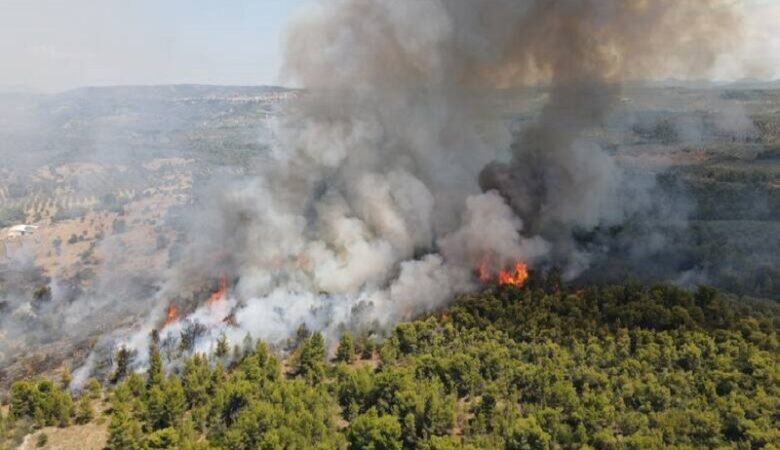 Πολύ υψηλός κίνδυνος πυρκαγιάς την Παρασκευή σε τέσσερις Περιφέρειες