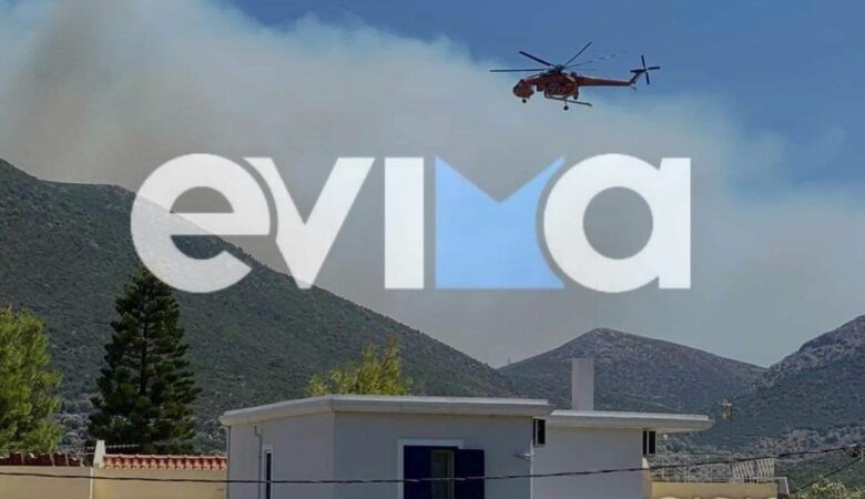 Φωτιά στα Μεσοχώρια Ευβοίας: Εκκένωση του οικισμού – Πλησιάζουν στα σπίτια οι φλόγες