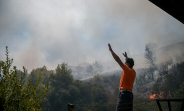 Φωτιά στην Κάρυστο: Αναζωπύρωση στο Μαρμάρι – Κοντά σε σπίτια οι φλόγες