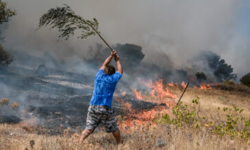 Πολύ υψηλός κίνδυνος πυρκαγιάς τη Δευτέρα – Συναγερμός σε περιφέρειες