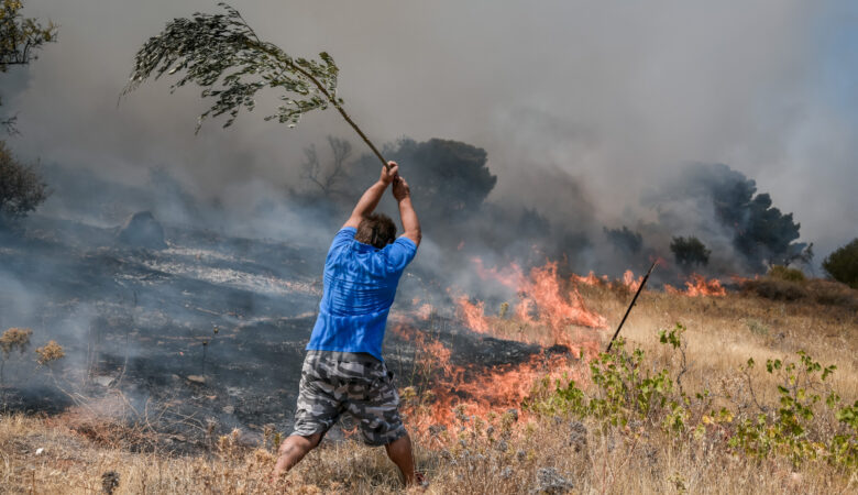 Μάχες με τις φλόγες στην Αττική: Εκτός ελέγχου η φωτιά στα Βίλια – Εκκενώνεται ο οικισμός Βενίζα – Πολλές εστίες στην Κερατέα