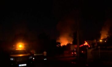 Φωτιές στην Αττική: Ολονύκτιες μάχες με τις φλόγες από τις επίγειες δυνάμεις σε Βίλια και Κερατέα