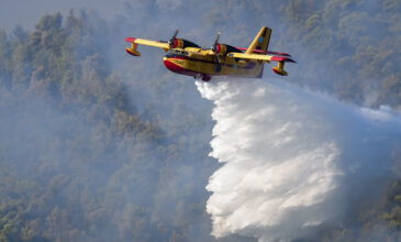 Φωτιά στο Πετρίτσι Σερρών – Επιχειρούν δύο αεροσκάφη