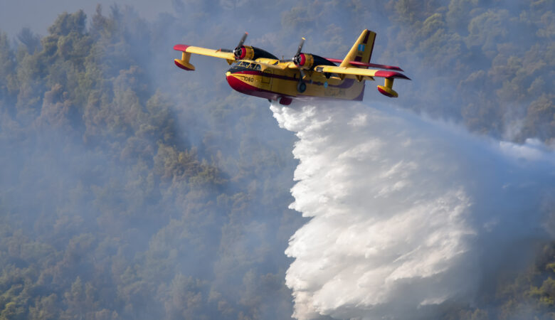 Νέα φωτιά στα Βίλια: Καίει παρθένο δάσος – Κοντά σε κατοικημένη περιοχή οι φλόγες