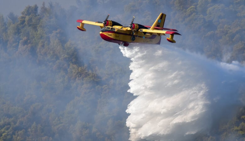 Φωτιά στο Πετρίτσι Σερρών – Επιχειρούν δύο αεροσκάφη