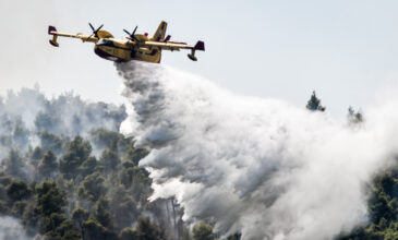 Πυρκαγιά σε δασική έκταση στην Κοζάνη
