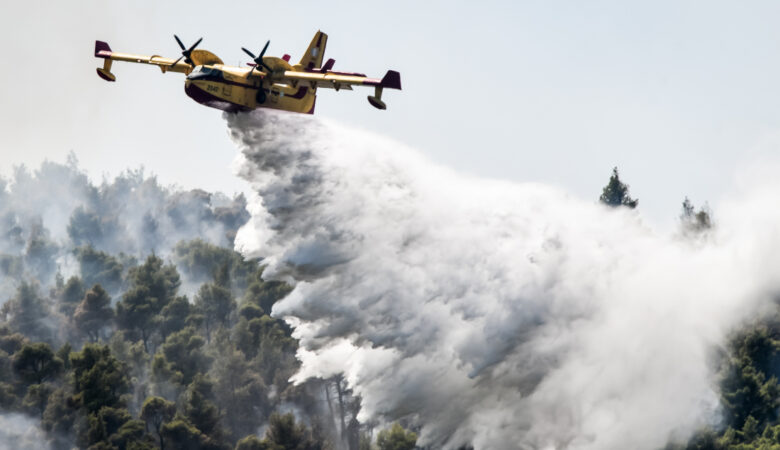Φωτιά στα Βίλια: Τεράστιο μέτωπο φωτιάς στο Παλαιοχώρι – Επιχειρούν τα εναέρια μέσα