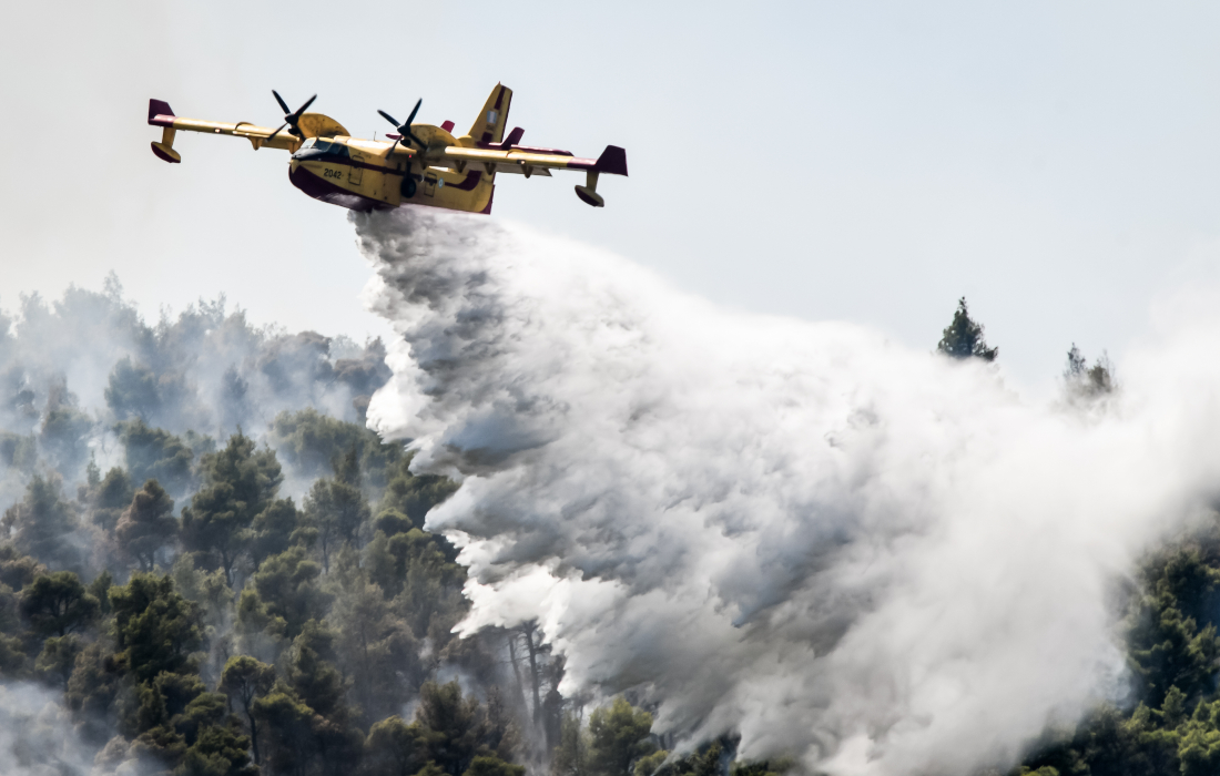 Φωτιά στα Βίλια: Τεράστιο μέτωπο φωτιάς στο Παλαιοχώρι – Επιχειρούν τα εναέρια μέσα