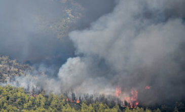 Φωτιά στα Βίλια: Τιτάνια προσπάθεια σε 3 μέτωπα για να περιοριστεί η πύρινη λαίλαπα – Δείτε νέες εικόνες