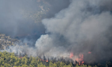 Συναγερμός για 3 περιφέρειες: Πολύ υψηλός κίνδυνος πυρκαγιάς σήμερα Τρίτη
