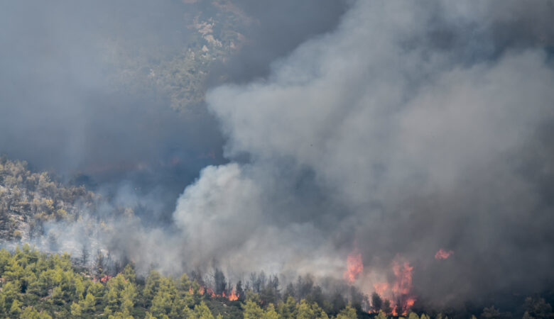 Φωτιά στη Μυτιλήνη: Πήρε διαστάσεις γρήγορα στο δάσος της Ρογκάδας – Προς εκκένωση τα Βατερά