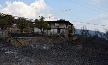 Αυτοψίες στις πυρόπληκτες περιοχές: Ακατάλληλες κρίθηκαν 821 κατοικίες και 71 επιχειρήσεις